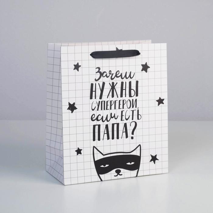 

Пакет ламинированный горизонтальный «Папа - супер герой», ML 27 × 23 × 11,5 см