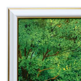 

Картина "Беседка в городском парке" 33х70(36х73) см