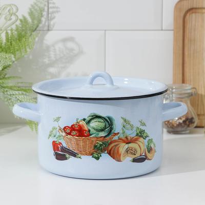 Кастрюля СТАЛЬЭМАЛЬ, 2,9 л, цвет МИКС/деколь МИКС с петлей
