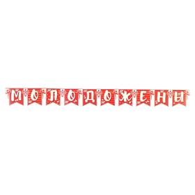 

Гирлянда с плакатом "Молодожены" глиттер, жених и невеста, 155 см