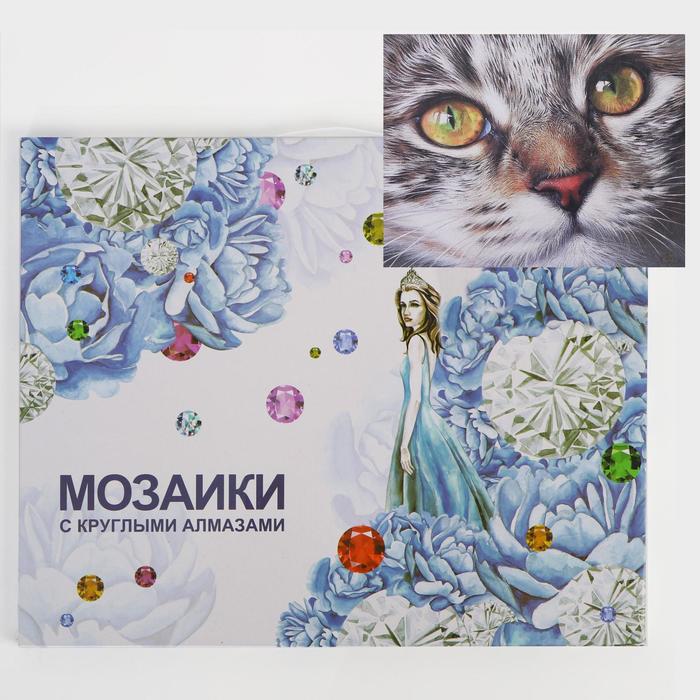 

Алмазная мозаика с подрамником, полное заполнение «Взгляд» 40×50 см