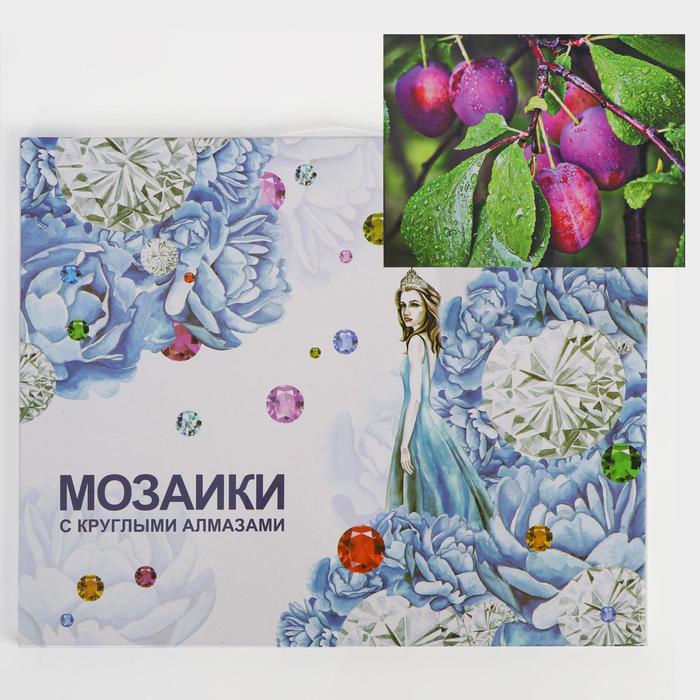 

Алмазная мозаика с подрамником, полное заполнение «Слива» 40×50 см