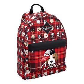 

Рюкзак молодежный Erich Krause EasyLine 39*29*13 дев 17L Cute Dog, красн/чёрн 51687
