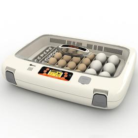 

Инкубатор Rcom 50 Pro