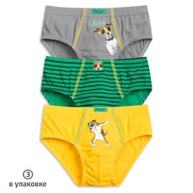 

Трусы для мальчиков, рост 104 см, цвет серый, зелёный, жёлтый, 3 шт в наборе