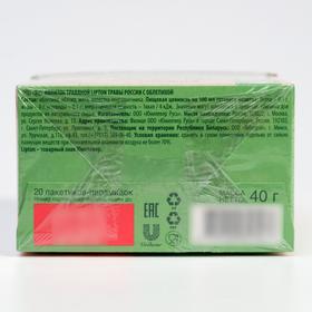 

Напиток травяной Lipton «Сибирские травы с облепихой», 40 г