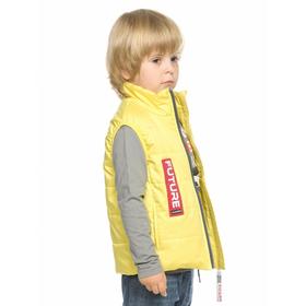 

Жилет для мальчиков, рост 98 см, цвет жёлтый