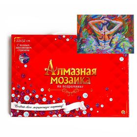 

Алмазная мозаика классическая, c подрамником, с полным заполнением «Прекрасная балерина» 22×32 см, 20 цветов