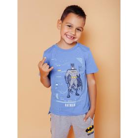 

Футболка для мальчиков Batman, рост 110 см, цвет синий