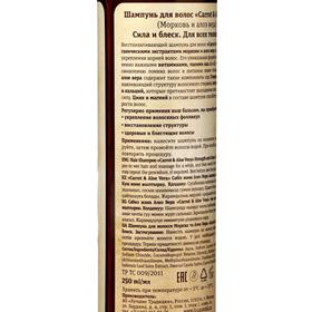 

Шампунь для волос Carrot Aloe Vera, сила и блеск, 250 мл
