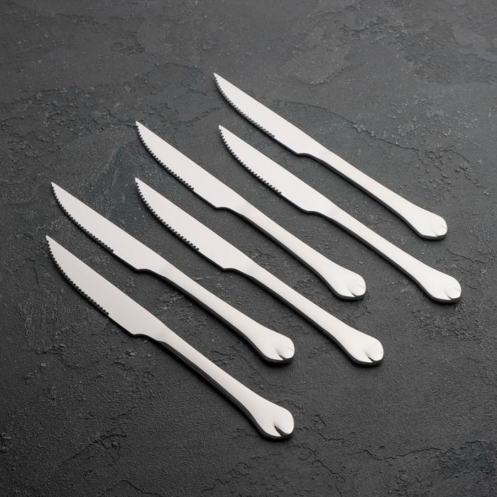 Ножи для мяса из нержавеющей стали Доляна «Капля», длина 22,5 см, 6 шт, цвет серебряный