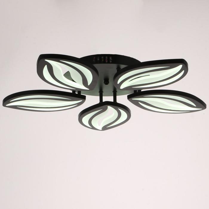 

Люстра с ПДУ 59113/5BK LED 120Вт 3000-6000К диммер черный 55х55х7 см BayerLux