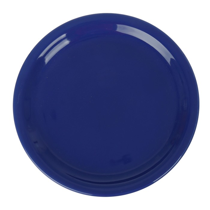 Тарелка подстановочная 23 см, цвет синий