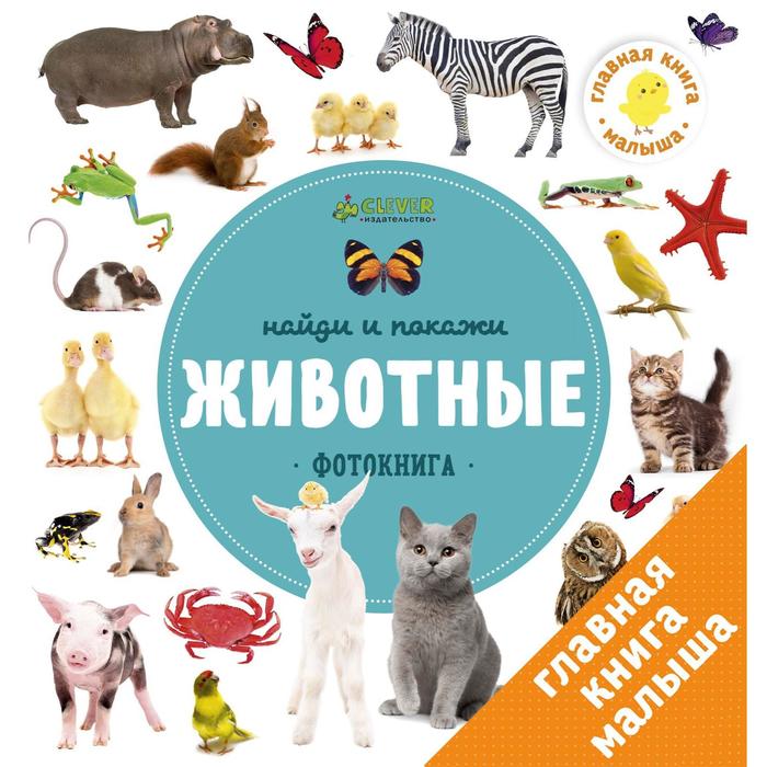

Животные