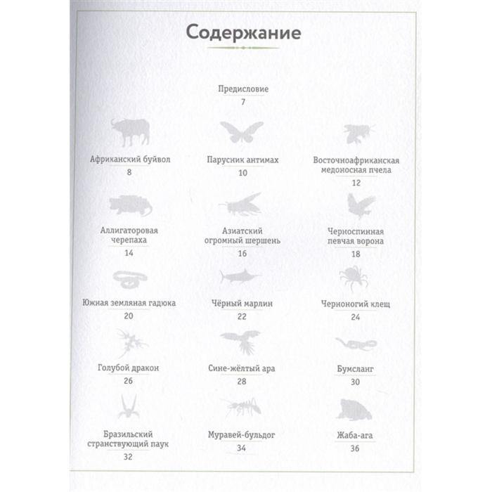 

Энциклопедия опасных животных. Сэми Бэйли