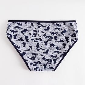 

Трусы женские слипы, цвет МИКС, размер 48-50 (2XL)