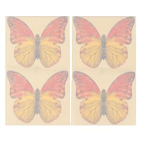 Приманка декоративная от мух "КАРАКУРТ СУПЕР", пакет, 4 наклейки (бабочка желто-оранжевая) от Сима-ленд
