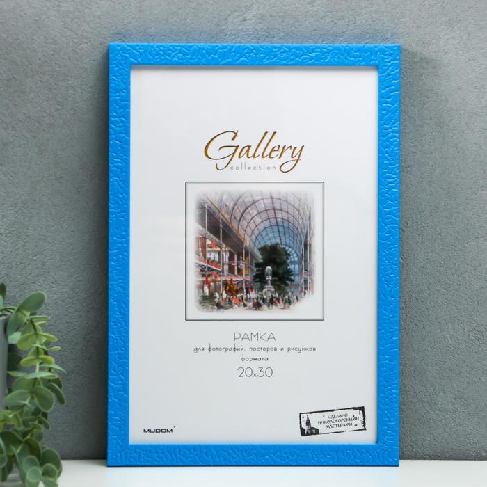 

Фоторамка пластик Gallery 20х30 см, 641199 МИКС (пластиковый экран)