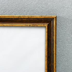 

Фоторамка пластик Gallery 40х50 см, 642479 коричневый