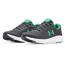 

Кроссовки Under Armour Surge 2, размер 42 (3022595-107)