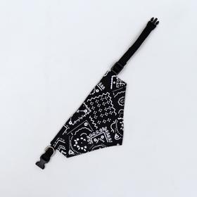 

Ошейник с косынкой "Графика", полиэстер 40 х 1 см, чёрный