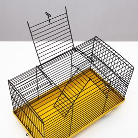 Клетка-мини для грызунов "Пижон" №2-1, без наполнения, 27 х 15 х 16 см, жёлтая от Сима-ленд