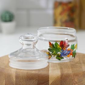 

Банка для сыпучих продуктов GiDGLASS «Cesni. Осенний вальс», 500 мл