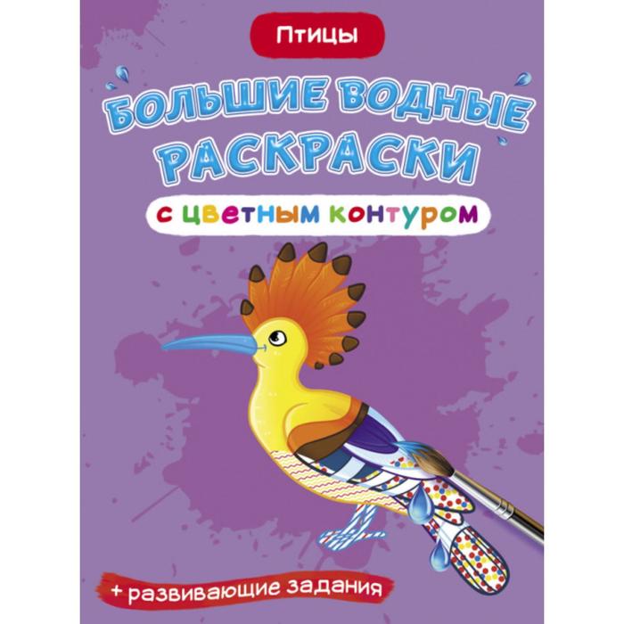 

Большие водные раскраски с цветным контуром «Птицы»