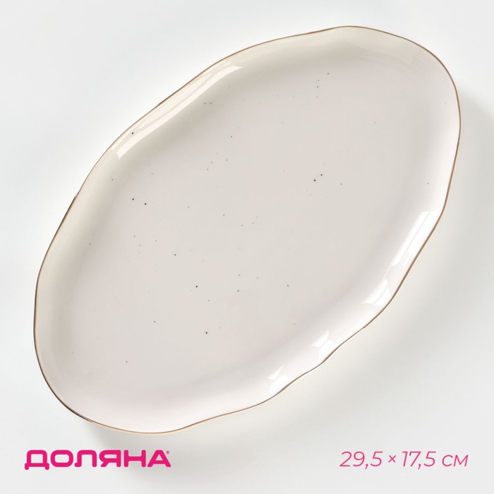Блюдо фарфоровое Доляна «Млечный путь», 29,5×17,5 см, цвет белый в крапинку тарелка фарфоровая пирожковая доляна млечный путь d 19 см цвет белый в крапинку