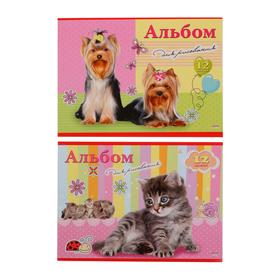 

Альбом для рисования А4, 12 листов на скрепке, обложка мелованный картон, блок 100 г/м2, МИКС