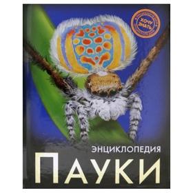 

Пауки. Альникин А.