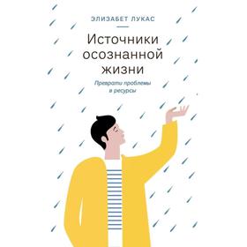 

Источники осознанной жизни. Преврати проблемы в ресурсы. Лукас Э.