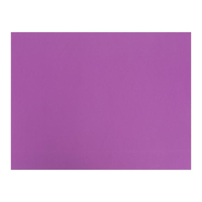 

Бумага цветная 650*500мм Fabriano COLORE 185г/м² MORADO т-фиолетовый S3215613