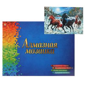 

Алмазная мозаика квадратная 30×40 см, полное заполнение, 32 цв. «Лошади зимней ночью»