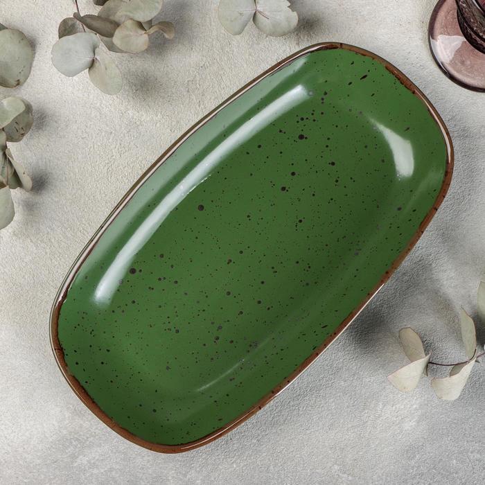 

Блюдо Punto verde, 29,5×17 см