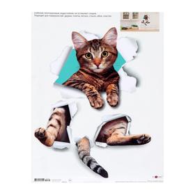 

Наклейка декоративная "Котик", 33,5 х 47 см