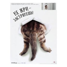 

Наклейка декоративная "Не жри - застрянешь!", 33,5 х 47 см