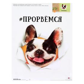 

Наклейка декоративная "Прорвёмся", 33,5 х 47 см