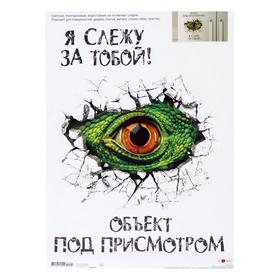 

Наклейка декоративная "Я слежу за тобой", 33,5 х 47 см