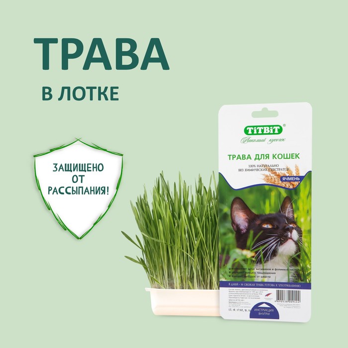 Трава TiTBiT для кошек, ячмень, 50 г цена и фото