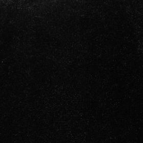 

Ворсовая ткань "Плюш черный №11", ширина 160 см