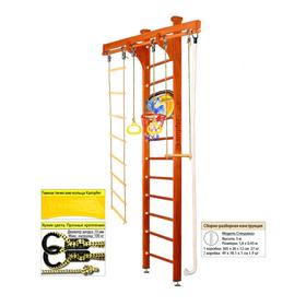 

Шведская стенка Kampfer Wooden Ladder Ceiling Basketball Shield №4, цвет вишнёвый, высота 3 м