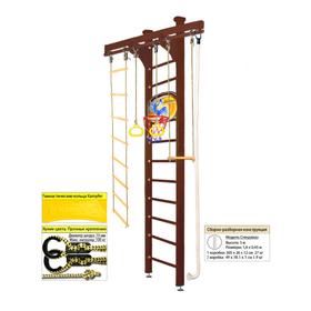 

Шведская стенка Kampfer Wooden Ladder Ceiling Basketball Shield №5, цвет шоколадный, высота 3 м
