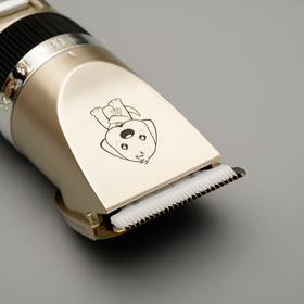 

Машинка для стрижки аккумуляторная бесшумная, регулировка ножа, USB-зарядка