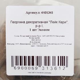 

Георгина декоративная "Лейк Кери", р-р I, 1 шт Эконом