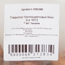 

Гладиолус Крупноцветковый Микс р-р 10/12 7 шт Эконом
