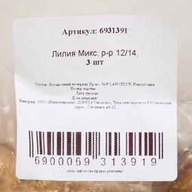 

Лилия Микс, р-р 12/14, 3 шт