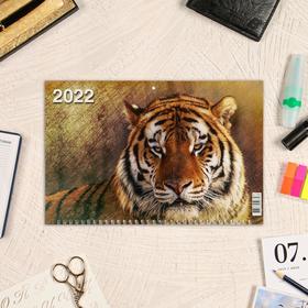 

Календарь квартальный, трио "Символ года - 40" 2022 год, 31 х 69 см