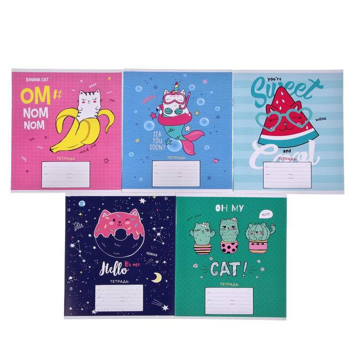 

Тетрадь 24 листа в клетку Trendy meow, обложка мелованный картон, блок офсет, МИКС