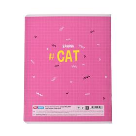 

Тетрадь 40 листов в клетку Trendy meow, обложка мелованный картон, блок офсет, МИКС
